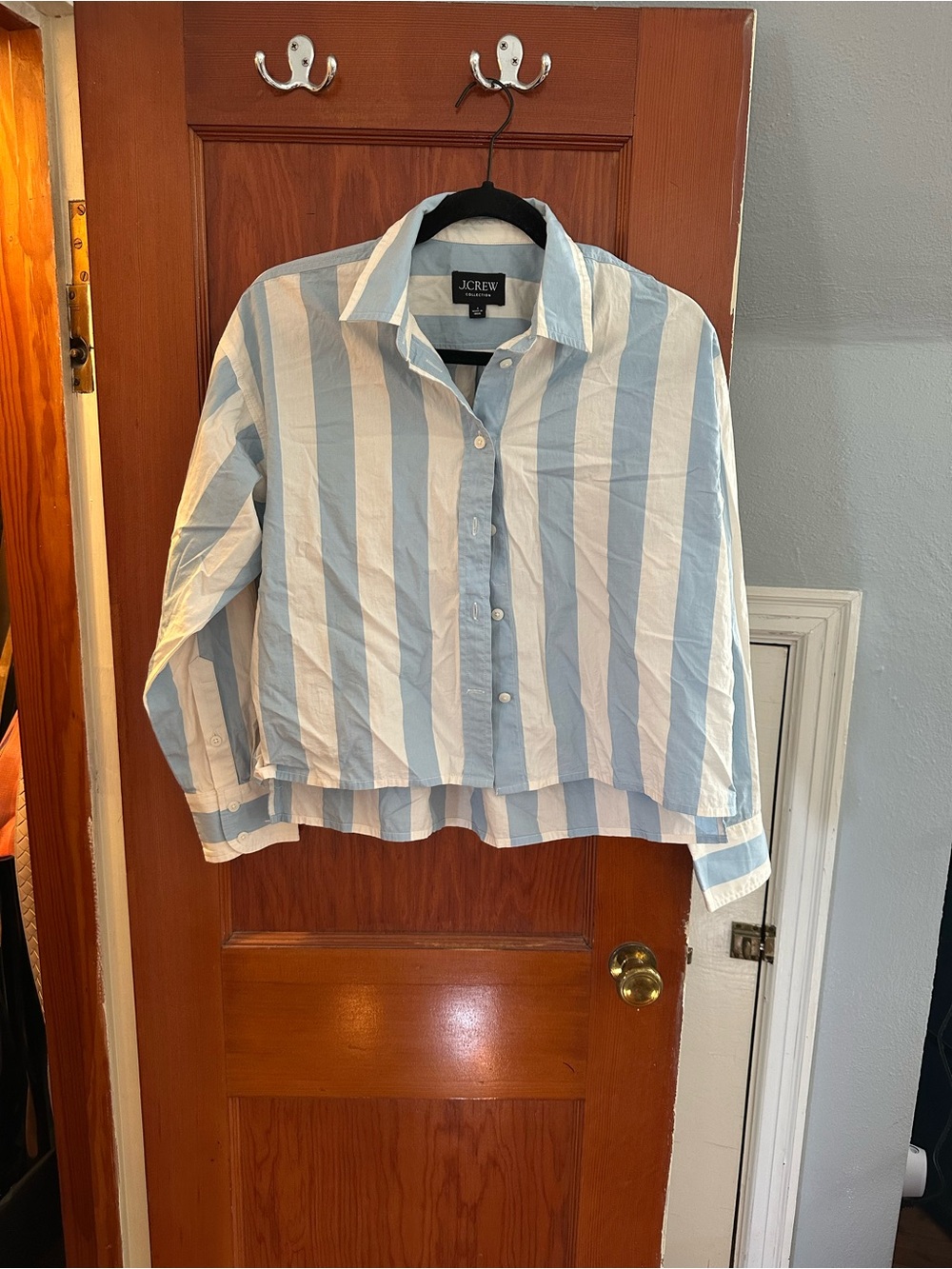 J.Crew Blue and White Vertical Stripe Button-Up Shirt